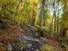 dji_20261017110842_0946_d_small.jpg