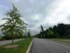 dji_20260802085336_0134_d_small.jpg